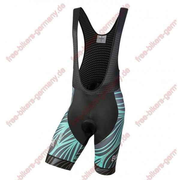 Profiteam 2018 Bianchi Milano Caina Blau Trägerhosen Set 84377GX Radtrikot De Profiteam 2018 Bianchi Milano Caina Blau Trägerhosen Set 84377GX Radtrikot De