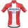Fahrradbekleidung Radsport 2020 DECEUNINCK QUICK-STEP Danish Champion Trikot Kurzarm Outlet Radtrikot De