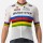 Quick Step-Alpha Vinyl Straßenrad Weltmeister Regenbogentrikot 2022 Competizione Radtrikot kurzarm-Radsport-Profi-Team