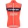 TREK-SEGAFREDO 2023 training edition Fahrradweste-Radsport-Profi-Team