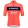 TREK-SEGAFREDO 2023 training edition Radtrikot kurzarm-Radsport-Profi-Team