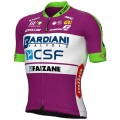 BARDIANI CSF FAIZANE' 2022 Radtrikot kurzarm(langer RV)-ALE Radsport-Profi-Team Radtrikot De BARDIANI CSF FAIZANE' 2022 Radtrikot kurzarm(langer RV)-ALE Radsport-Profi-Team Radtrikot De