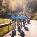 Eolo-Kometa Cycling Team 2023 Radtrikot kurzarm-Radsport-Profi-Team Radtrikot De Eolo-Kometa Cycling Team 2023 Radtrikot kurzarm-Radsport-Profi-Team Radtrikot De