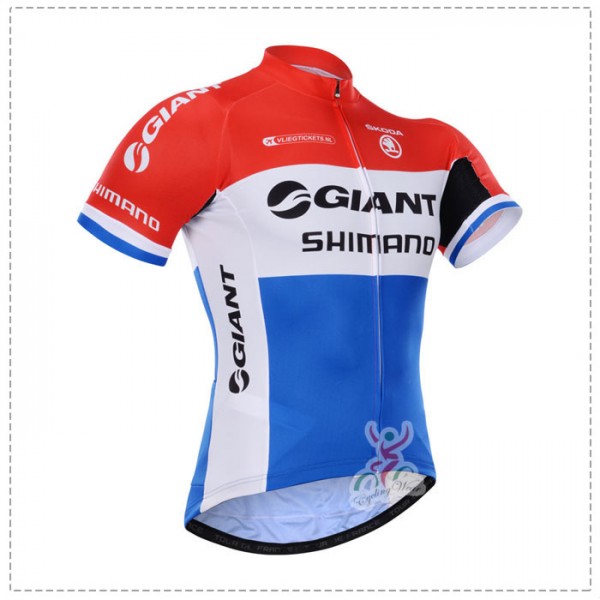 2015 Giant Shimano Radtrikot Kurzarm Radtrikot De