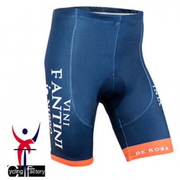 2015 Vini Fantini NIPPO Kurz Radhose Radtrikot De
