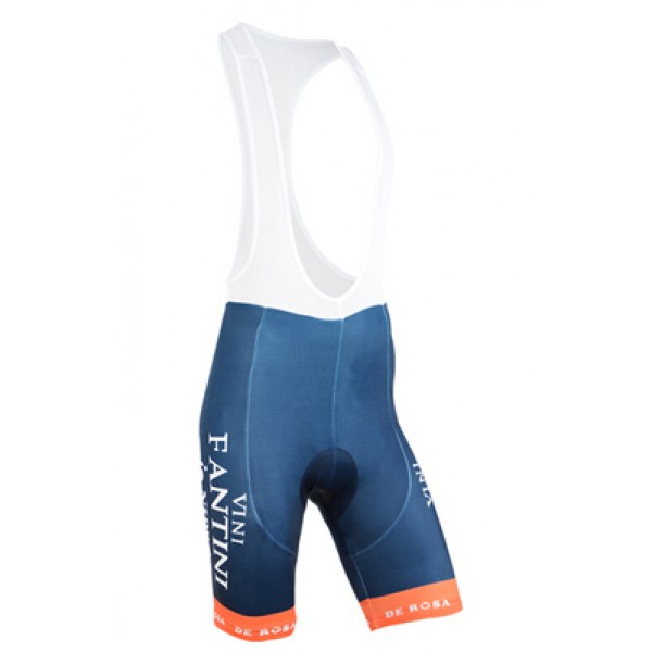 2015 Vini Fantini NIPPO Kurz Trägerhose Radtrikot De