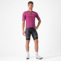 Herren Cyclamen Trikot Giro d'Italia 2024 Classification Radtrikot De Herren Cyclamen Trikot Giro d'Italia 2024 Classification Radtrikot De