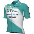 Herren Ale VF Group-Bardiani CSF-Faizane 2024 trikot Radtrikot De