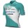 Herren Ale VF Group-Bardiani CSF-Faizane 2024 trikot Radtrikot De