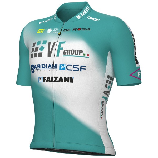 Herren Ale VF Group-Bardiani CSF-Faizane 2024 trikot Radtrikot De