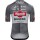 Herren Kalas Alpecin Deceunininck 2024 trikot-TDF Radtrikot De