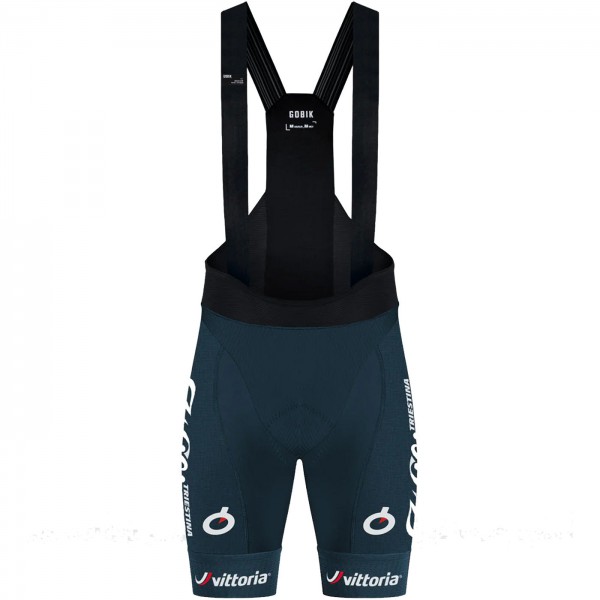 Herren Gobik Wilier Vittoria 2024 Absolute 6.0 K10 tragerhose Radtrikot De Herren Gobik Wilier Vittoria 2024 Absolute 6.0 K10 tragerhose Radtrikot De