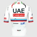 Herren Pissei Team UAE 2024 Magistrale Trikot-Slowenischer Meister Radtrikot De