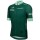 Herren Tour de France 2024 Fan Line Grun trikot Radtrikot De