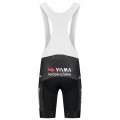 Herren Team Visma Lease a bike 2025 The Swarm tragerhose-Tdf Radtrikot De