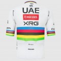 Herren UAE Team Emirates 2025 Magistrale Pissei trikot-Tadej Pogacar Radtrikot De