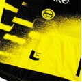 Herren Team Visma Lease a bike 2025 The Wingbeat trikot-Wout Van Aert Radtrikot De