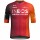 Herren Gobik Ineos Grenadiers 2025 Reactive 2.0 trikot Radtrikot De