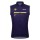 Herren Santini Paris Nice 2025 weste Radtrikot De