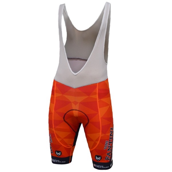 2017 Vini Fantini Nippo Race Kurz Trägerhose Radtrikot De